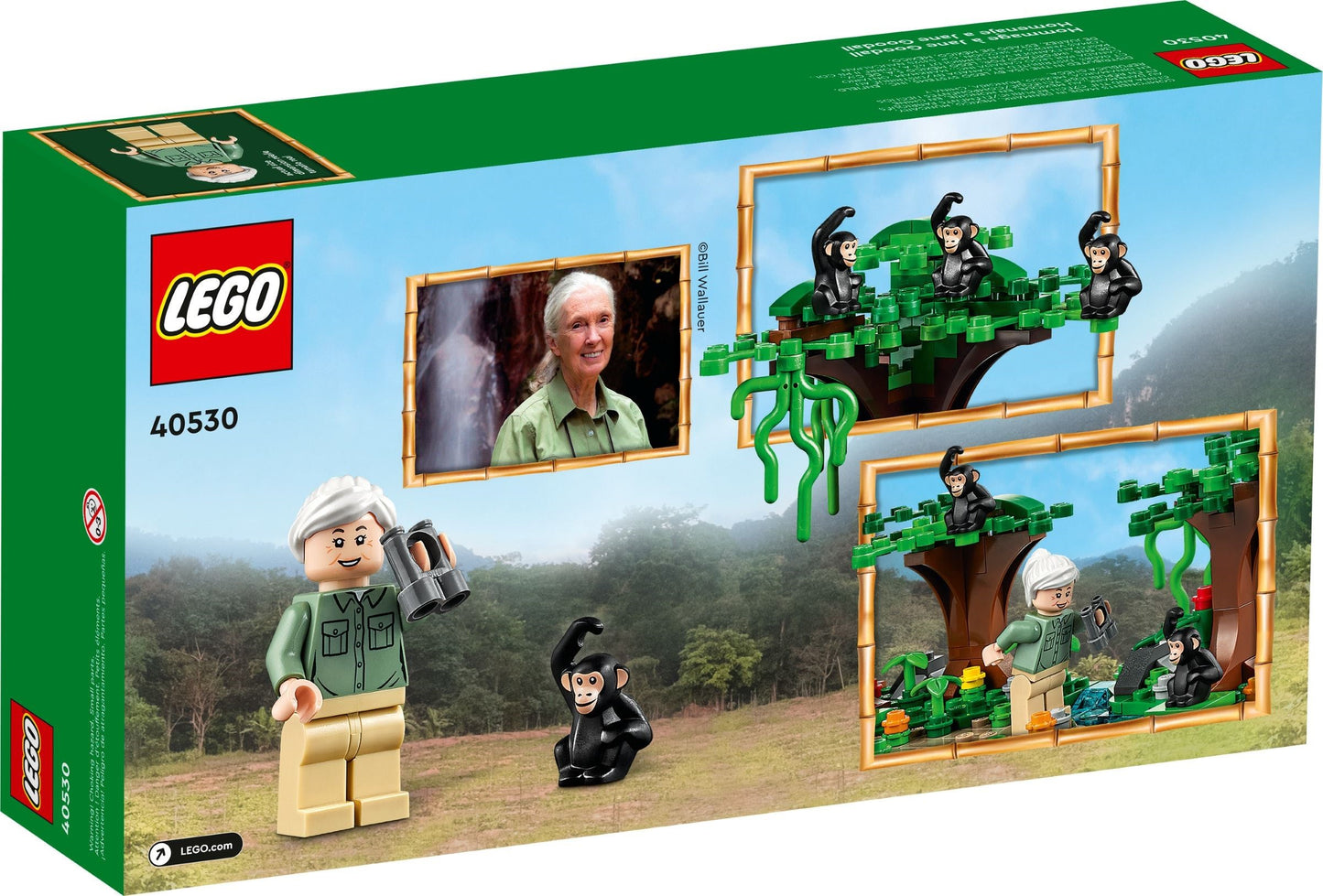 LEGO Promotional: Jane Goodall Tribute (40530) - New Sealed - built set