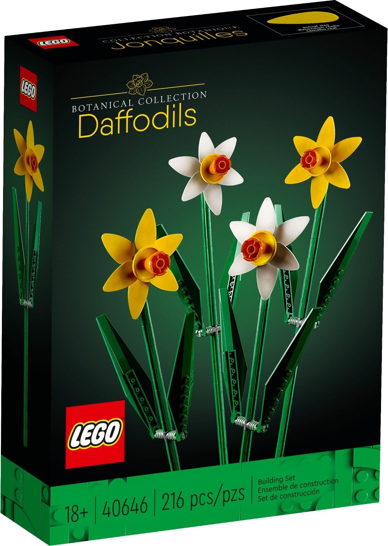 LEGO Botanicals: Daffodils (40646) - New Sealed - box front