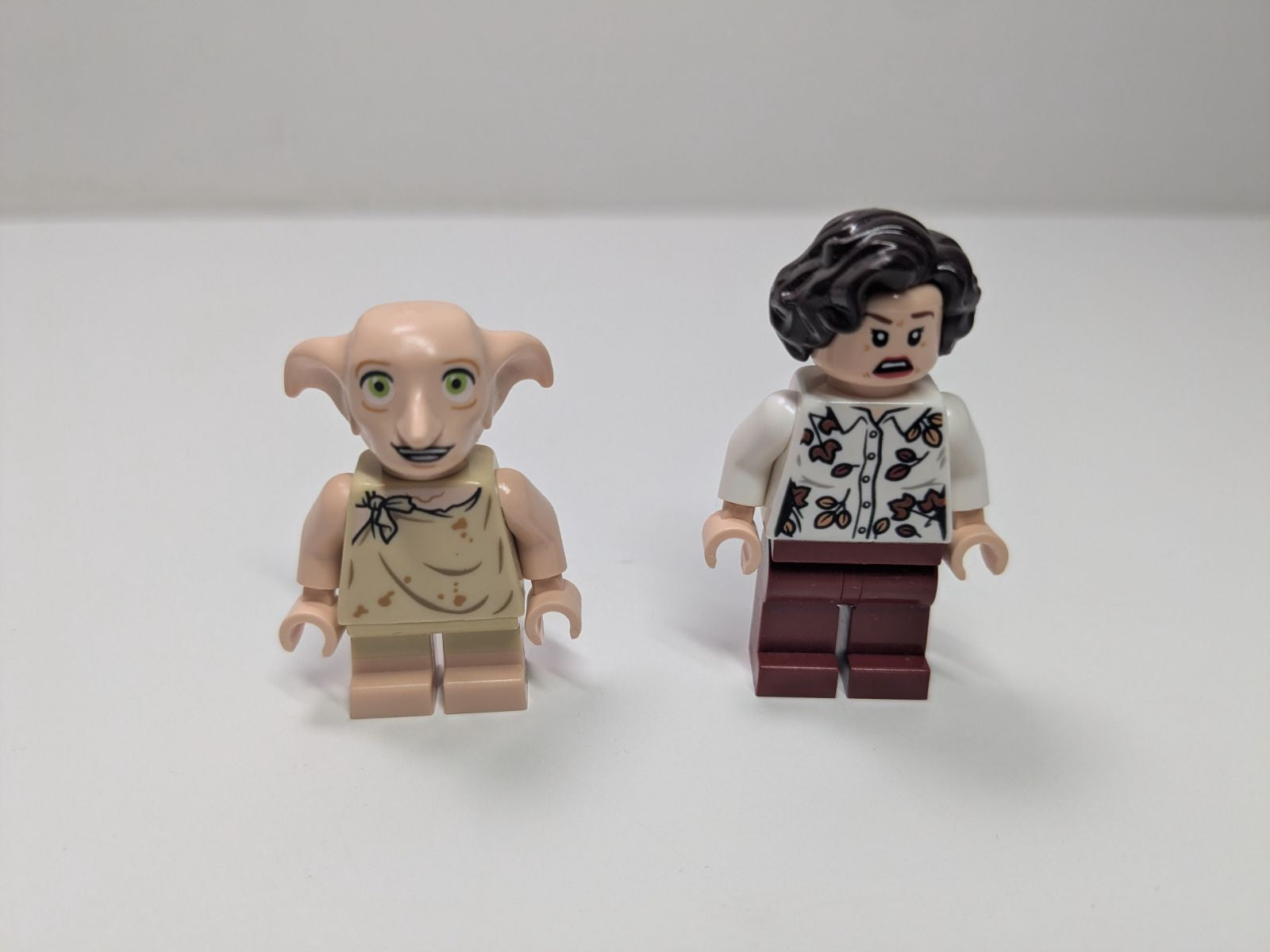LEGO Harry Potter: 4 Privet Drive (75968) - Complete - minifigures